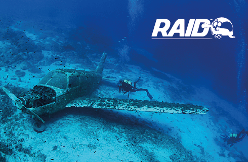 RAID Speciality Courses